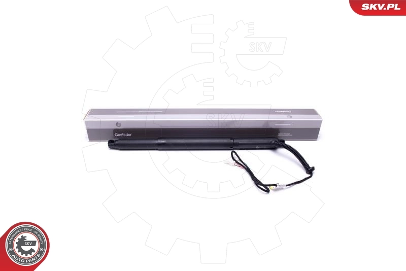 Electric Motor, tailgate